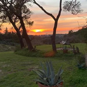 Bed & Breakfast Allulivus, Montenero (Livorno)